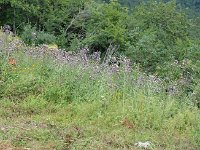 Raduno 4x4 27-07-2014 (101)